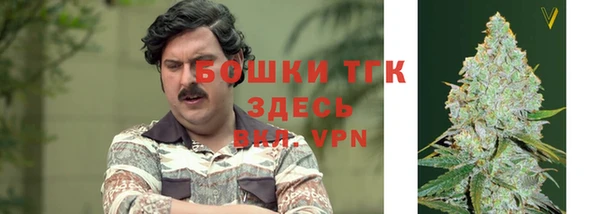 прущая мука Вяземский