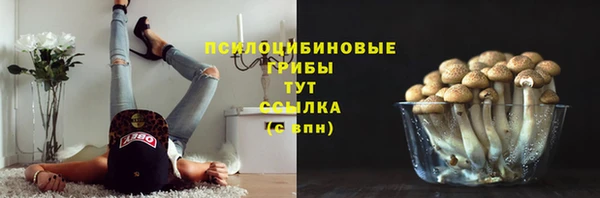 дмт Вязники