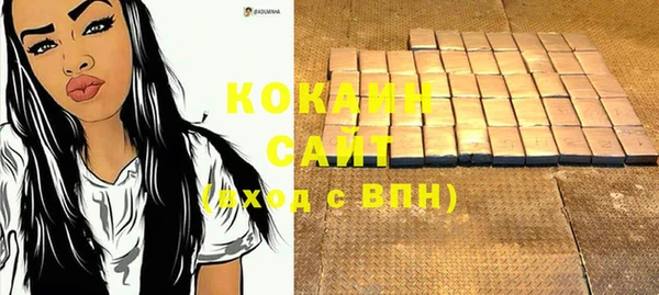 прущая мука Вяземский
